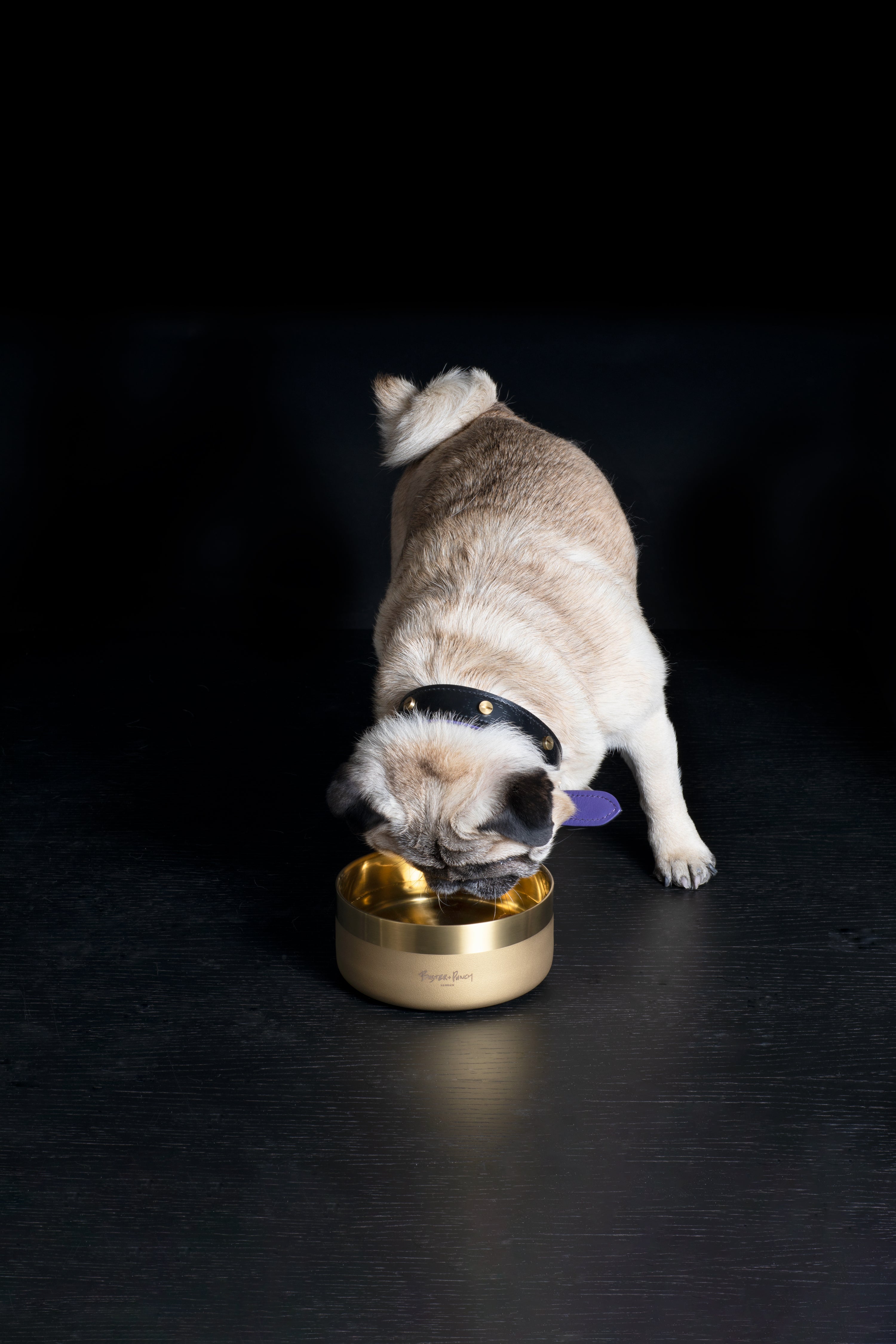 Buster+Punch small dog bowl