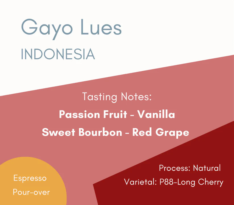 Hexagon coffee Gayo Lues - 250g coffee beans